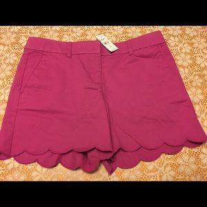 LOFT Anne Taylor Shorts NWT Size 4
